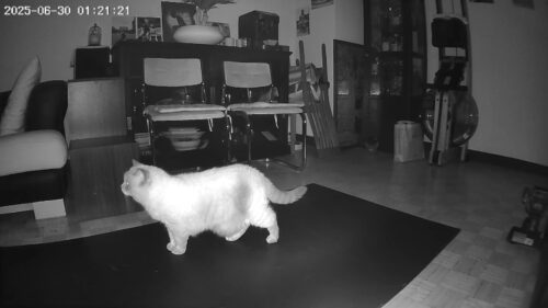 Cococam 2K WiFi Intérieur : Caméra PTZ Batterie Alexa Bébé photo review