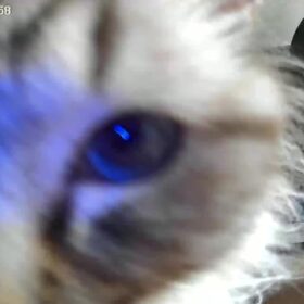 Cococam 2K WiFi Intérieur : Caméra PTZ Batterie Alexa Bébé photo review