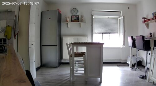 Cococam 2K WiFi Intérieur : Caméra PTZ Batterie Alexa Bébé photo review