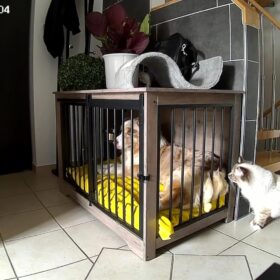 Cococam 2K WiFi Intérieur : Caméra PTZ Batterie Alexa Bébé photo review