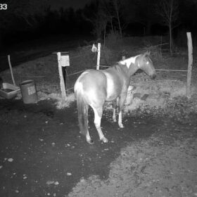   Cococam 4G Portable Magnétique : Caméra PTZ 300° Camping RV photo review