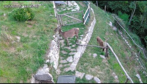   Cococam 4G Portable Magnétique : Caméra PTZ 300° Camping RV photo review