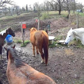   Cococam 4G Portable Magnétique : Caméra PTZ 300° Camping RV photo review