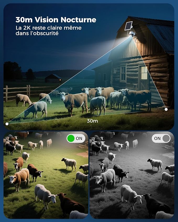 Cococam 24/7 AOV 4G eSIM : Caméra Enregistrement Continu PTZ – Image 7